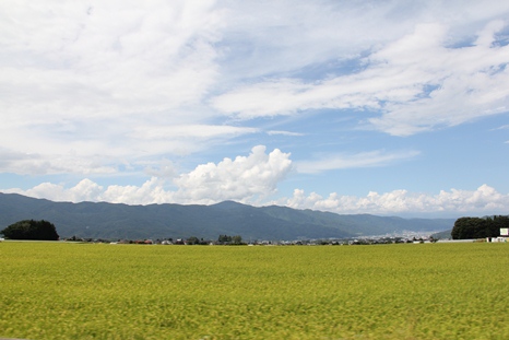 b0209623_22193388.jpg