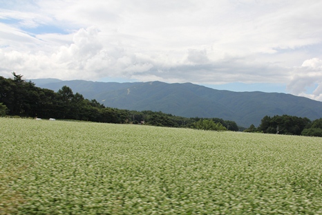 b0209623_22202511.jpg