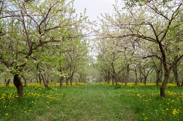 f0182924_22444142.jpg