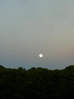 b0252727_10365360.jpg