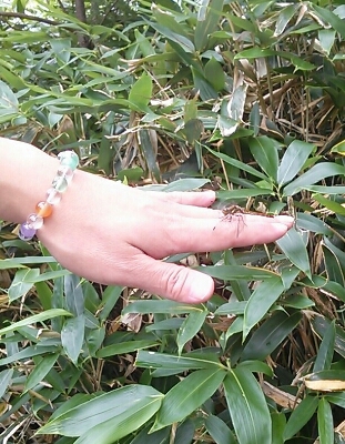 f0186330_17341691.jpg