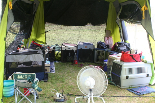 b0085331_21221822.jpg