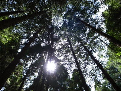 c0153732_18374392.jpg