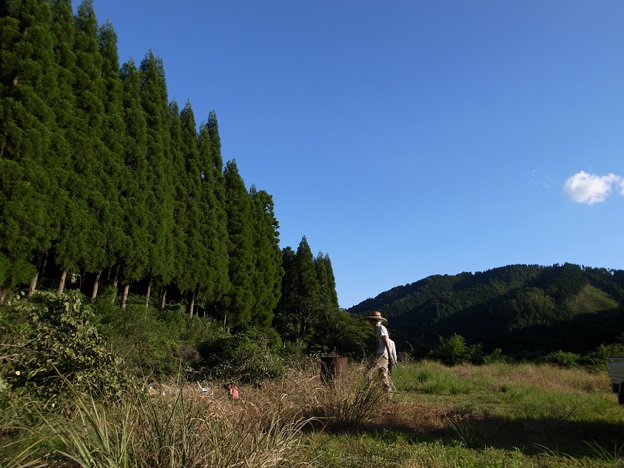 c0153732_1858484.jpg