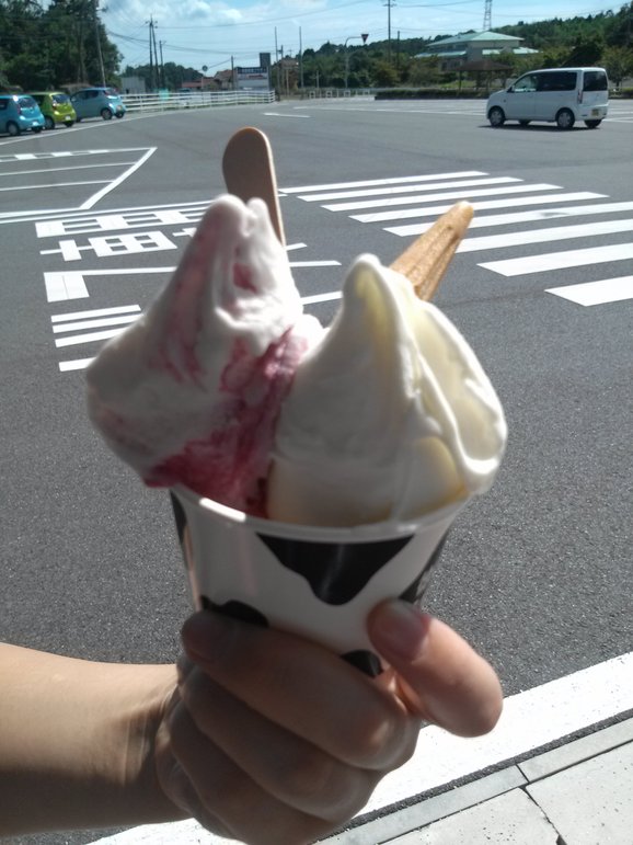 d0107133_12591023.jpg