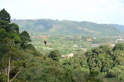 f0001835_19175939.jpg