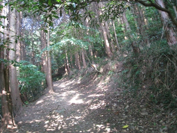c0077338_66499.jpg