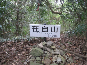 c0077338_68225.jpg