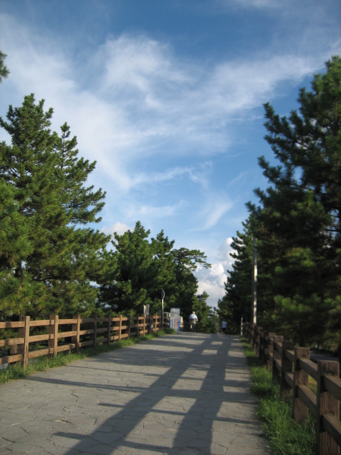 e0227139_23182141.jpg