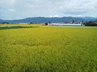 a0272241_17628100.jpg