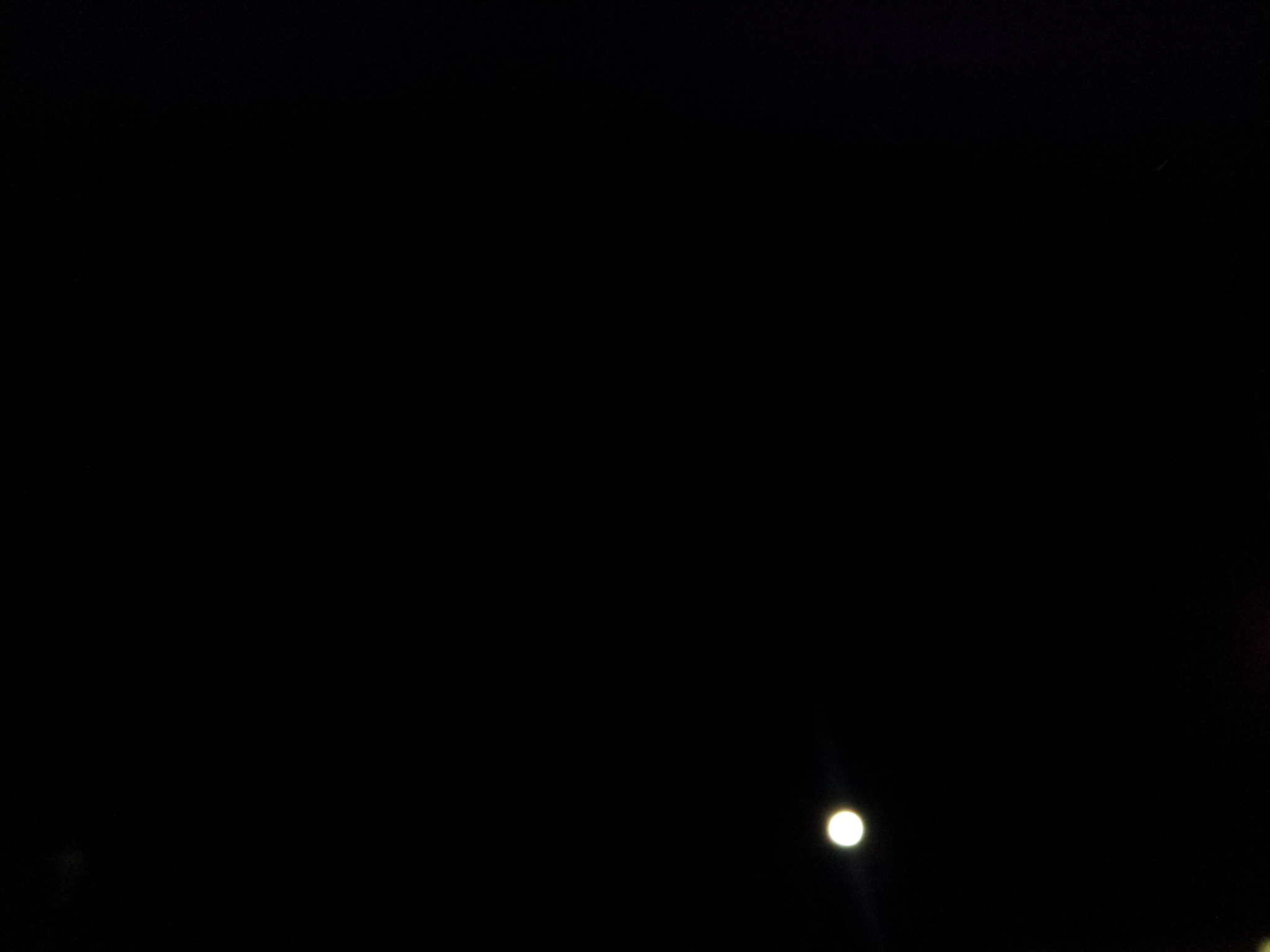 d0075741_1582120.jpg