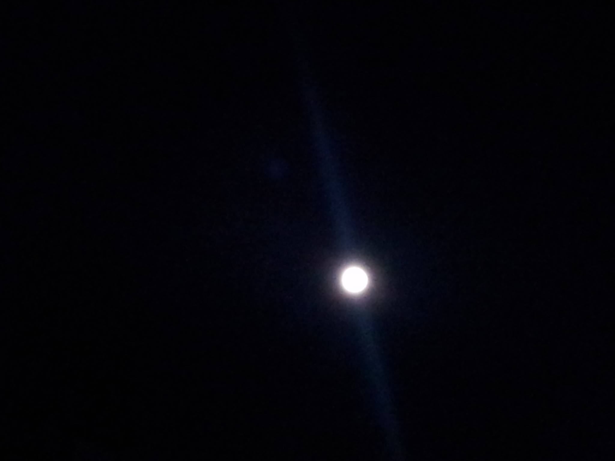 d0075741_1582184.jpg