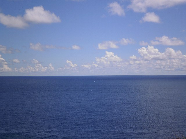 e0172041_20462847.jpg