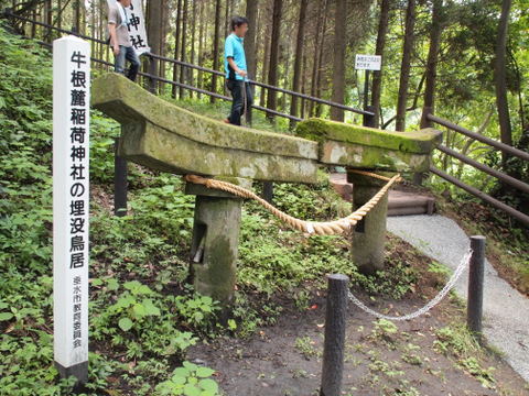 b0199742_1638581.jpg