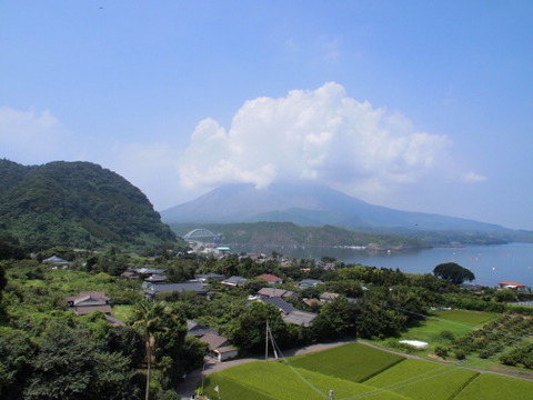 b0199742_1642171.jpg