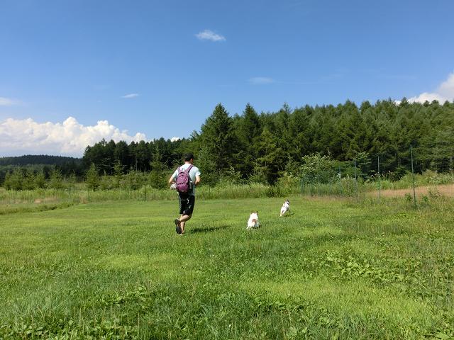 c0156345_11493872.jpg