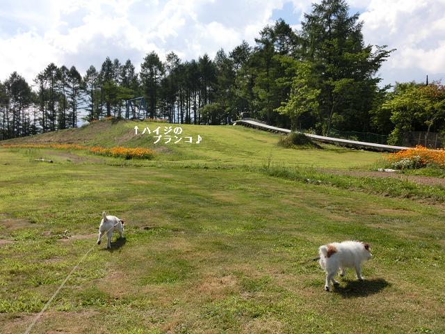 c0156345_1149483.jpg