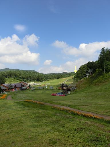c0156345_11501027.jpg