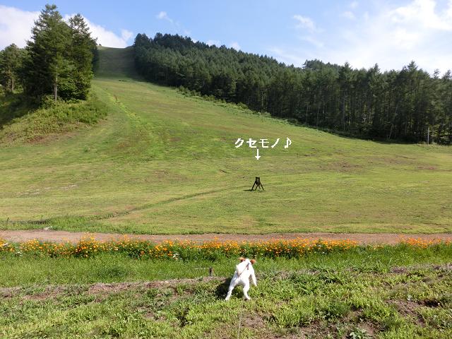 c0156345_11501780.jpg