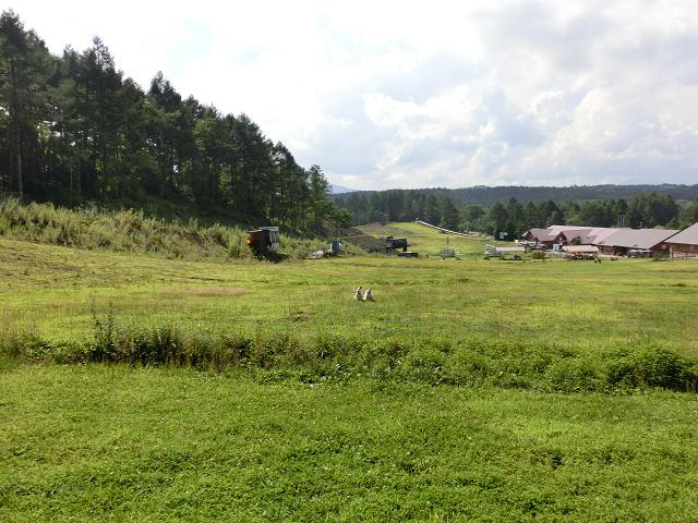 c0156345_11505765.jpg