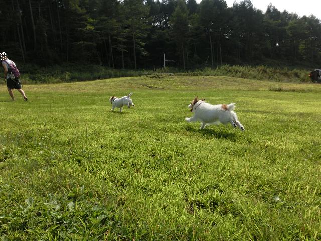 c0156345_11513691.jpg