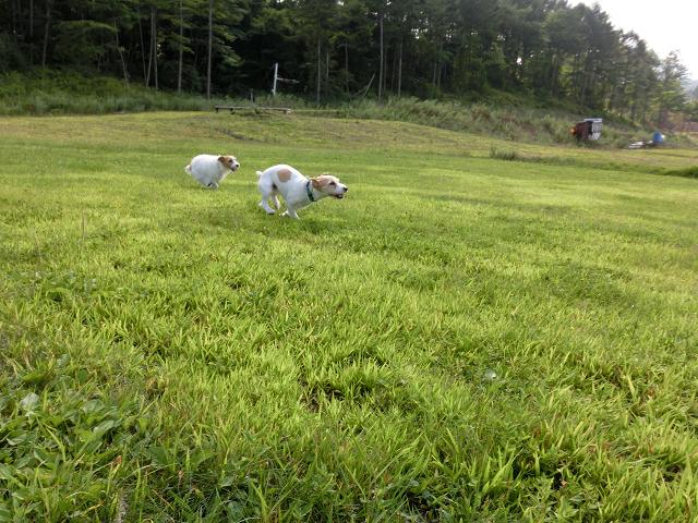 c0156345_1151427.jpg