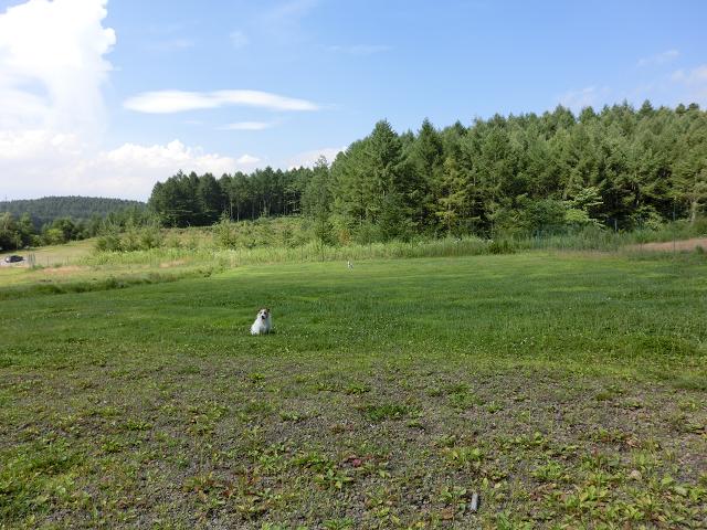 c0156345_1904313.jpg
