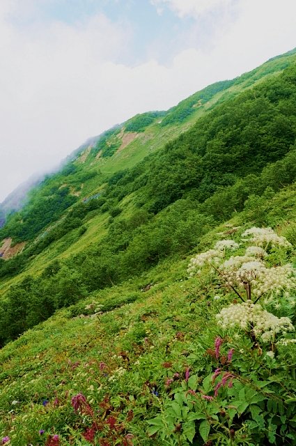 b0122448_21395994.jpg