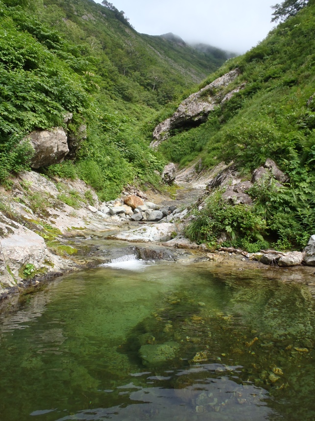 d0169556_17125215.jpg
