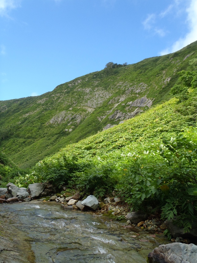 d0169556_17151243.jpg