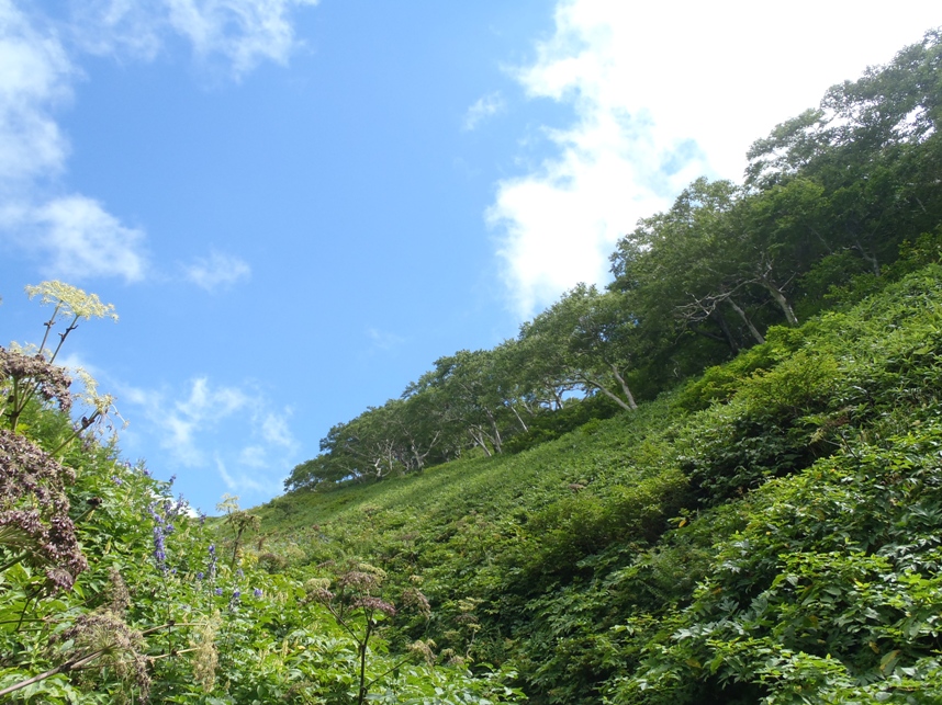 d0169556_17154879.jpg