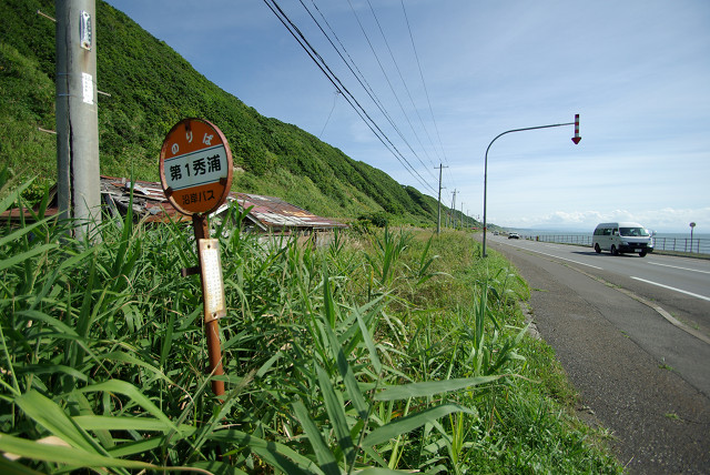 c0080357_047098.jpg
