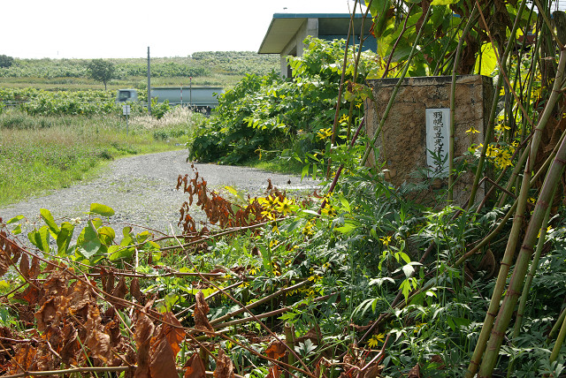 c0080357_1928469.jpg