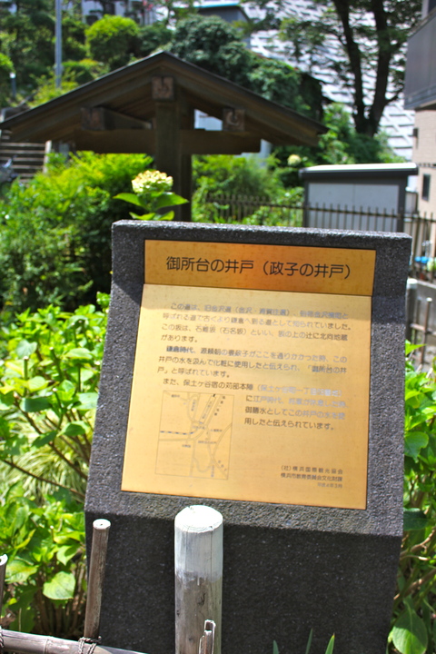 a0248459_4425485.jpg