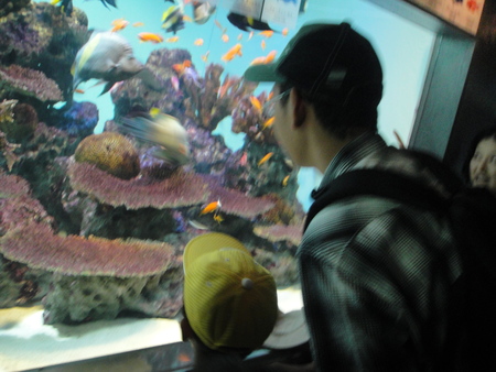 c0108460_16164410.jpg