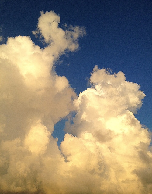 e0172160_0131036.jpg