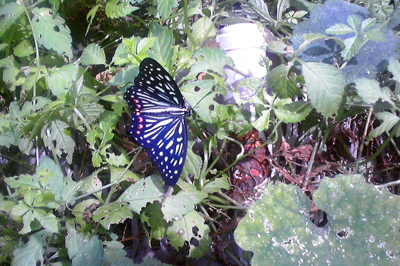 c0043361_23574339.jpg