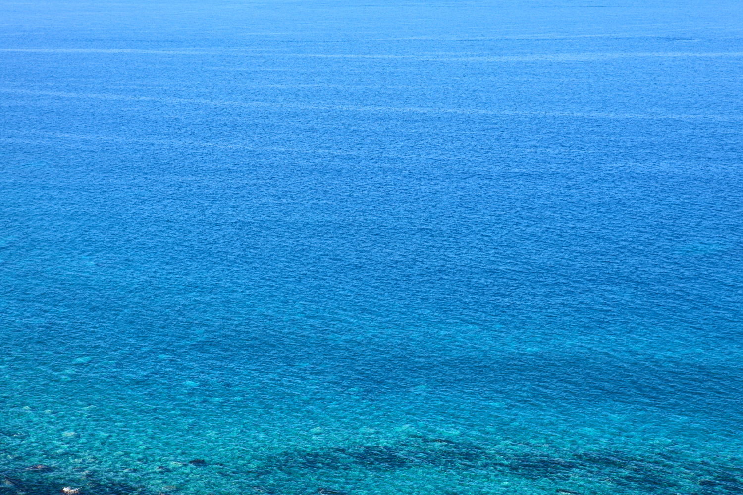 f0227662_075622.jpg