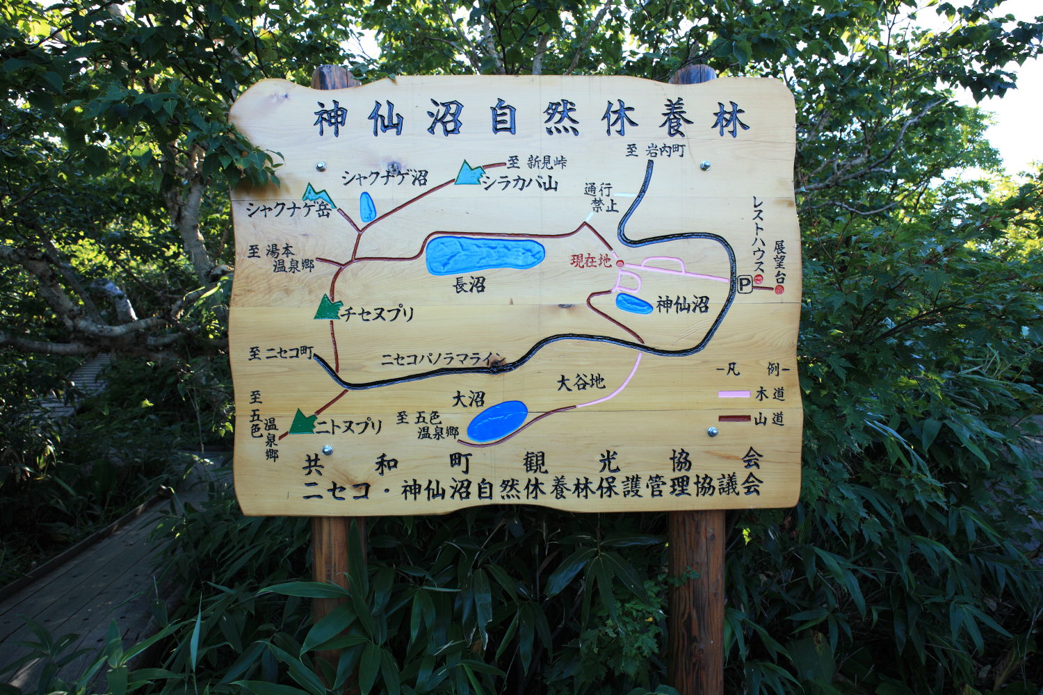 f0227662_081922.jpg