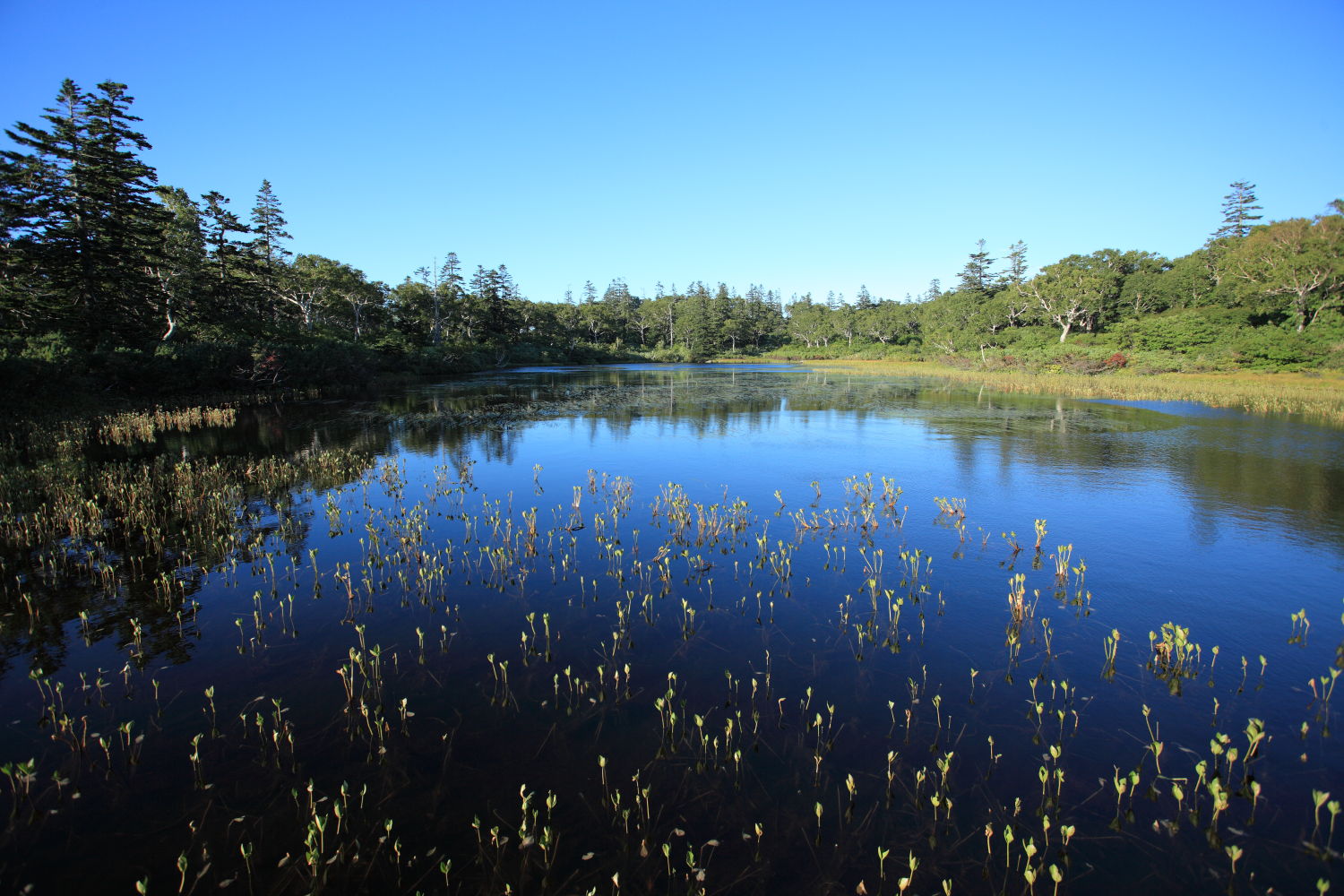 f0227662_083181.jpg