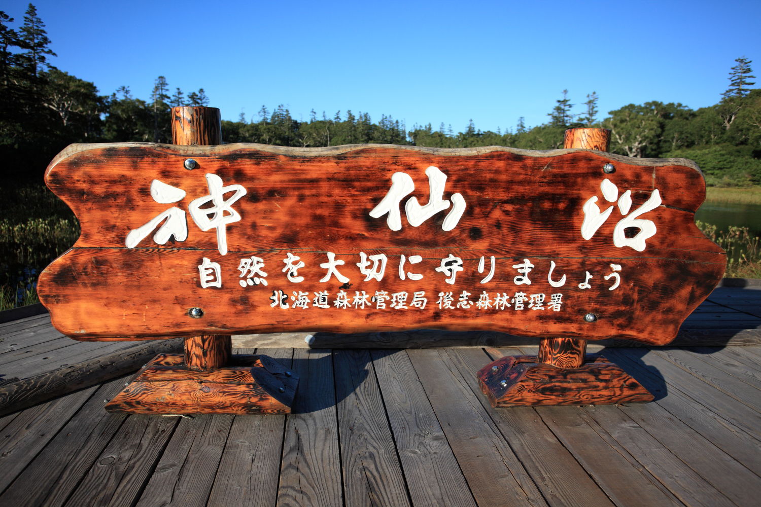 f0227662_083646.jpg