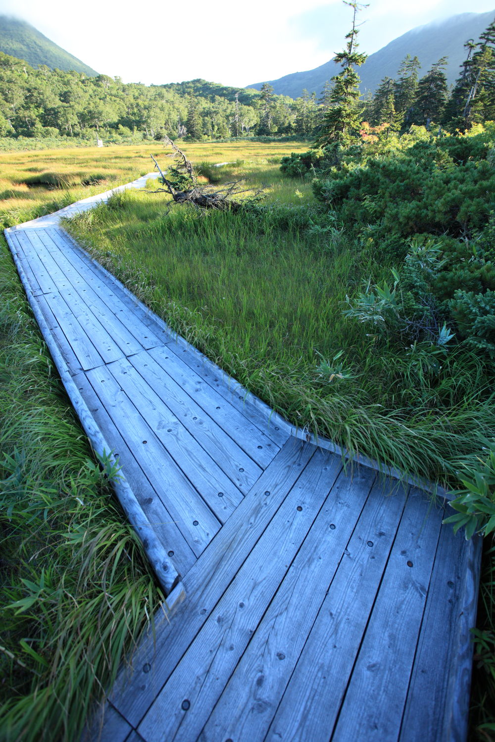f0227662_084615.jpg