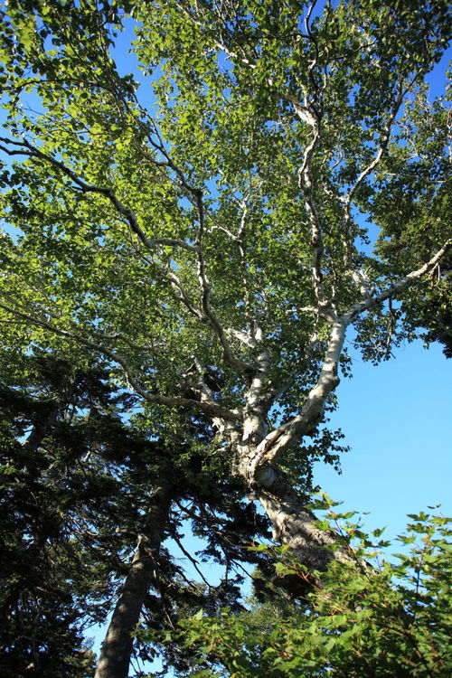 f0227662_085756.jpg