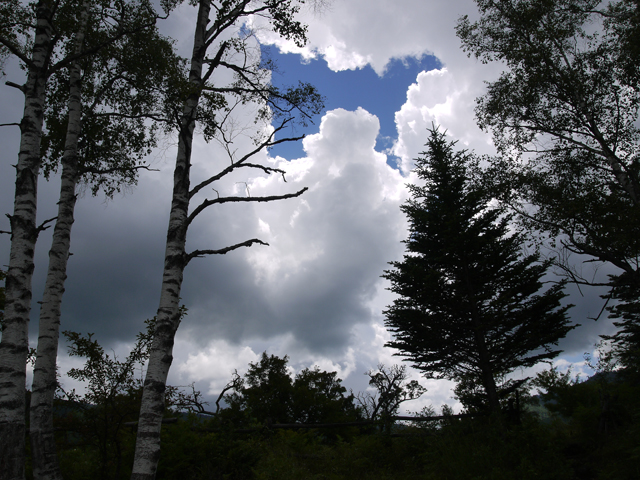 e0055465_17592980.jpg