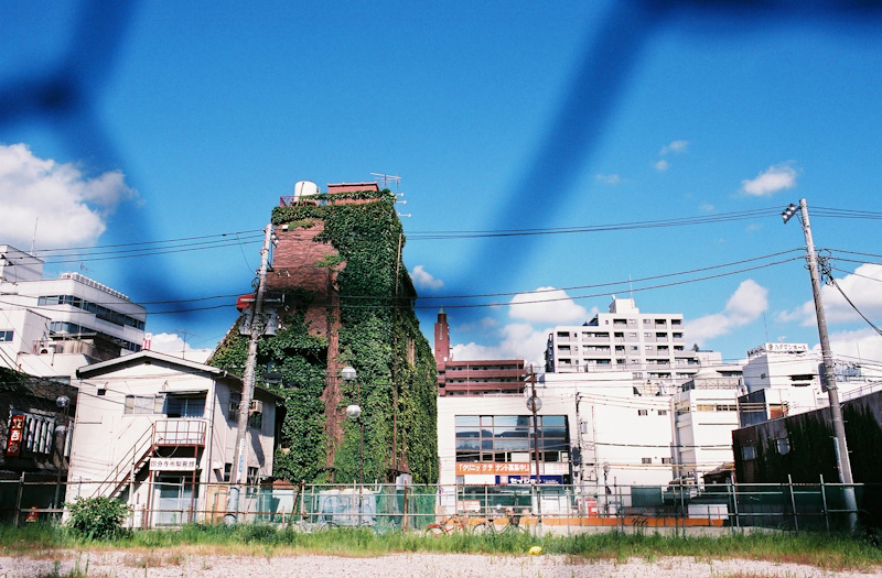 c0084666_2230533.jpg
