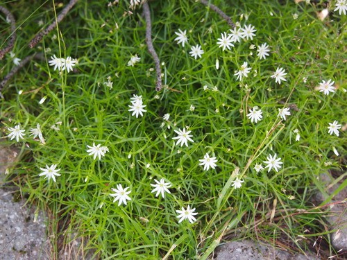 c0144868_1341418.jpg