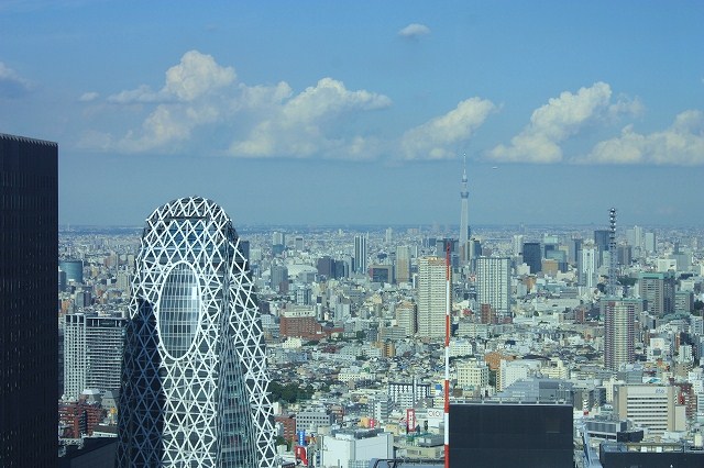 f0052068_1754597.jpg