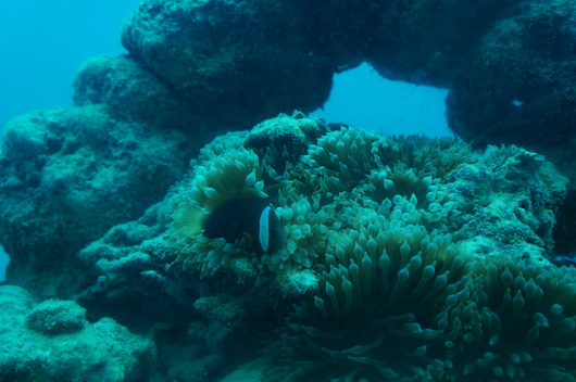c0215469_1563186.jpg