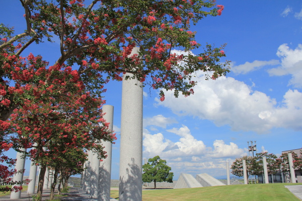 b0055171_14464074.jpg