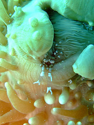 b0033573_21184650.jpg